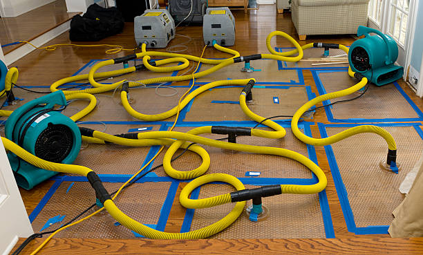 Professional Sewage Cleanup technician working in Burlington, ME